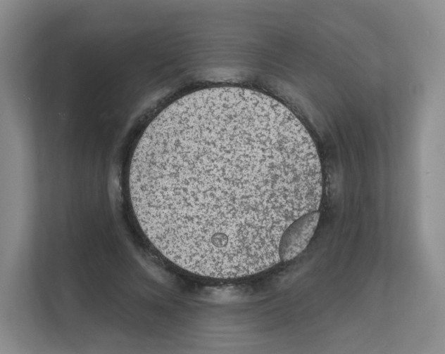 X0000111130688200908111039
