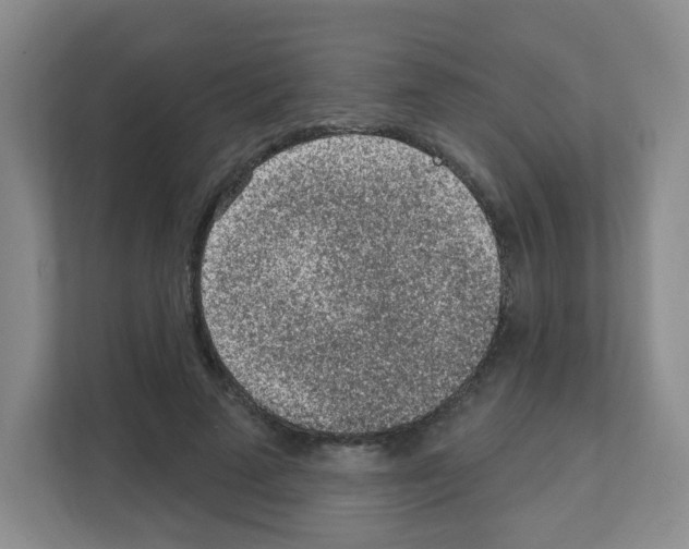 X0000111130689200908111039