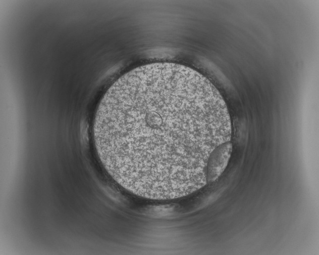 X0000111130692200908111039