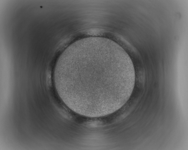 X0000111130696200908111039