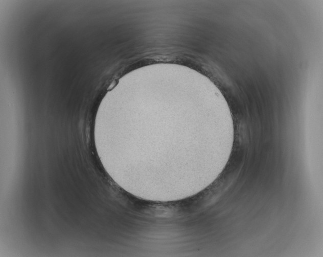 X0000111130697200908111039