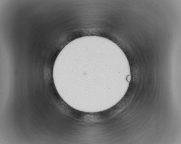 X0000111130699200908111039