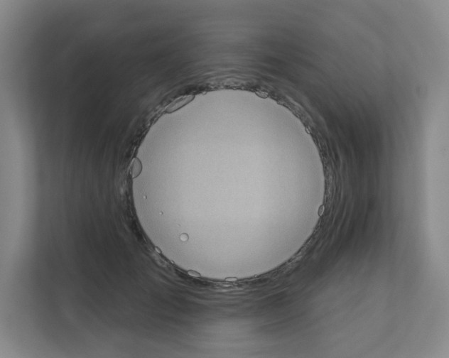 X0000111130701200908111039
