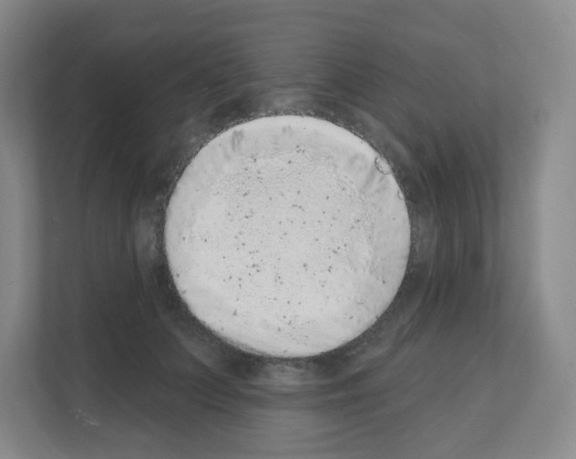 X0000111130703200908111039