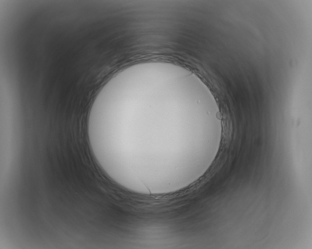 X0000111130704200908111039