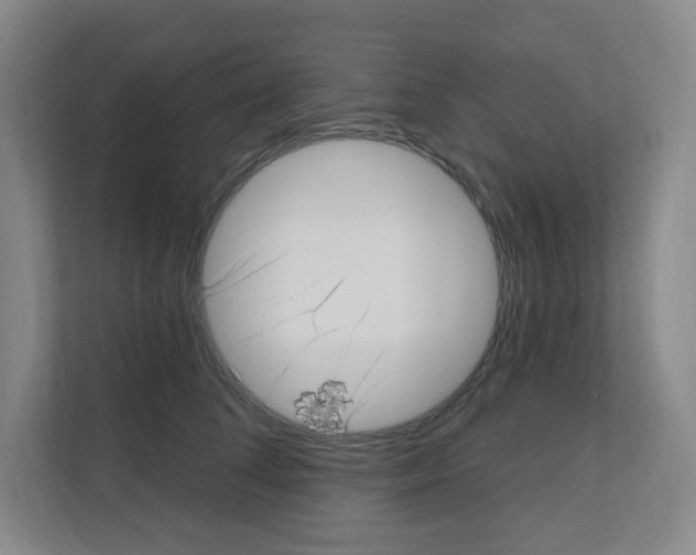 X0000111130708200908111039