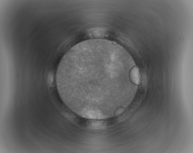 X0000111130709200908111039