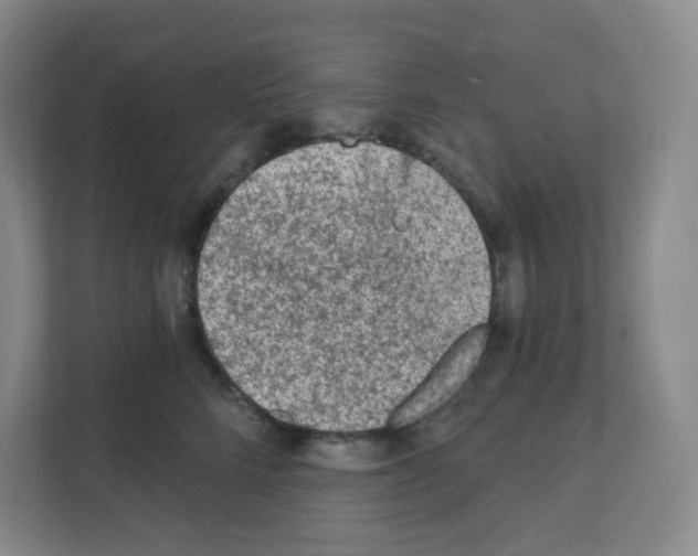 X0000111130712200908111039