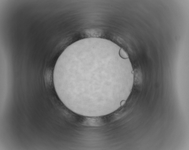 X0000111130713200908111039