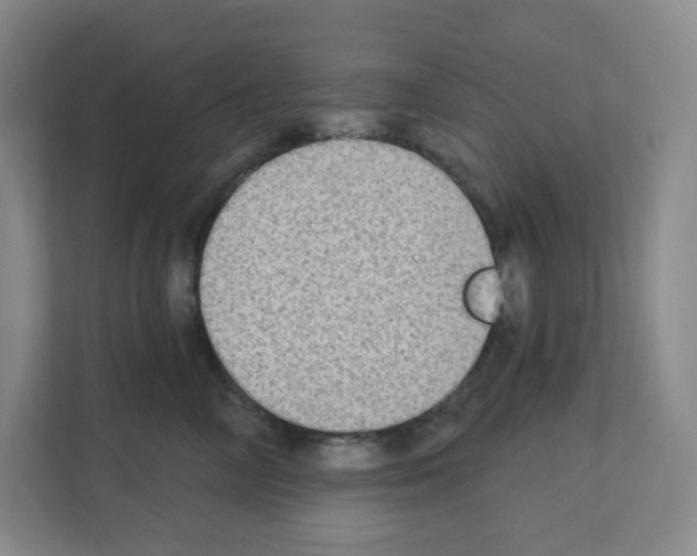 X0000111130714200908111039