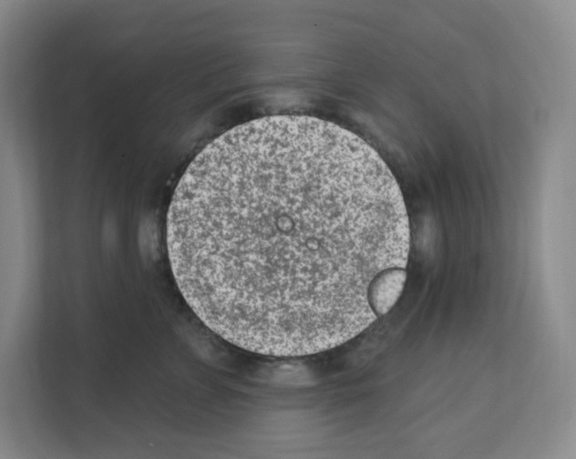X0000111130715200908111039