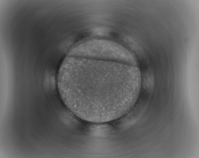 X0000111130716200908111039