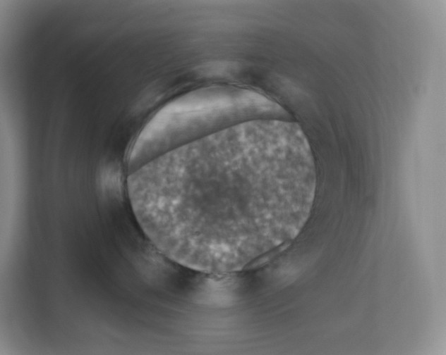 X0000111130720200908111039