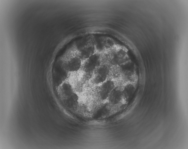 X0000111130721200908111038