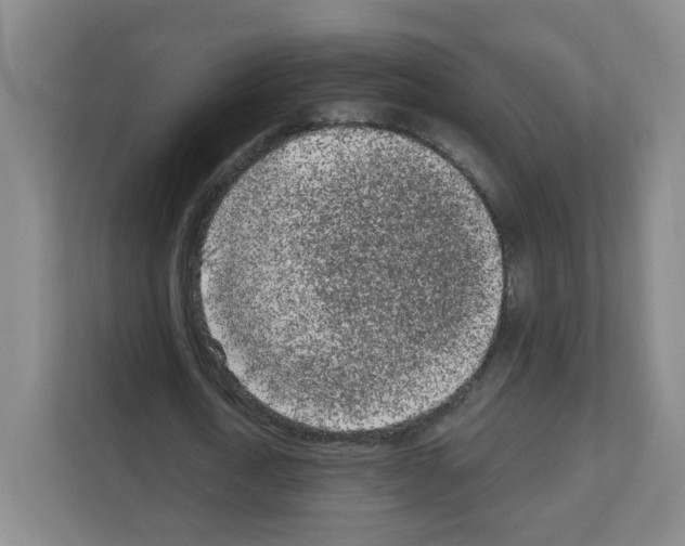 X0000111130722200908111038
