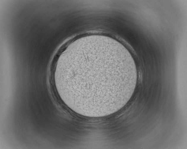 X0000111130724200908111038
