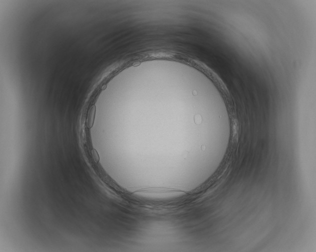 X0000111130725200908111038