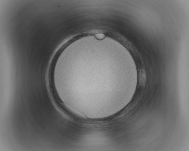 X0000111130726200908111038