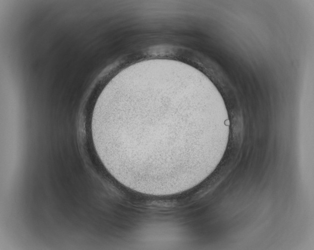 X0000111130727200908111038