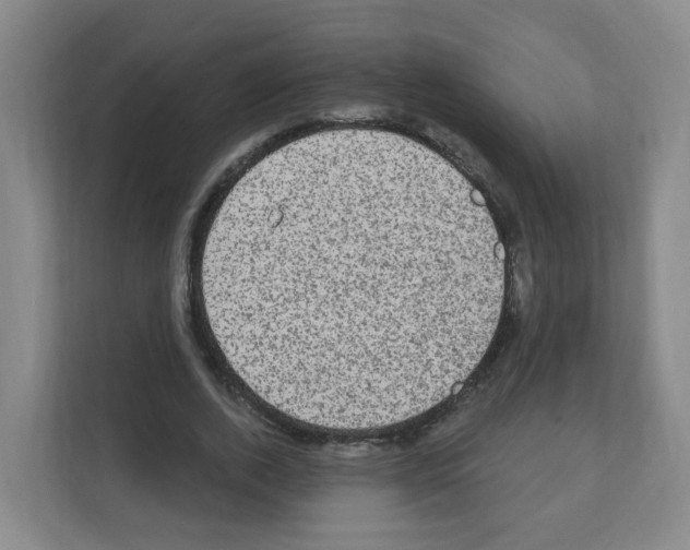 X0000111130728200908111038
