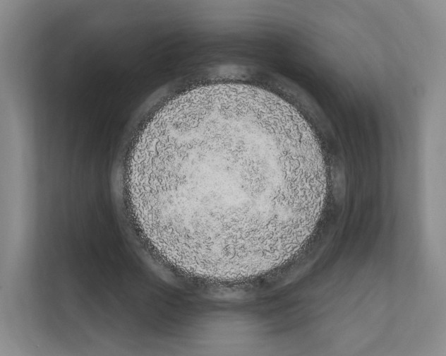 X0000111130729200908111038