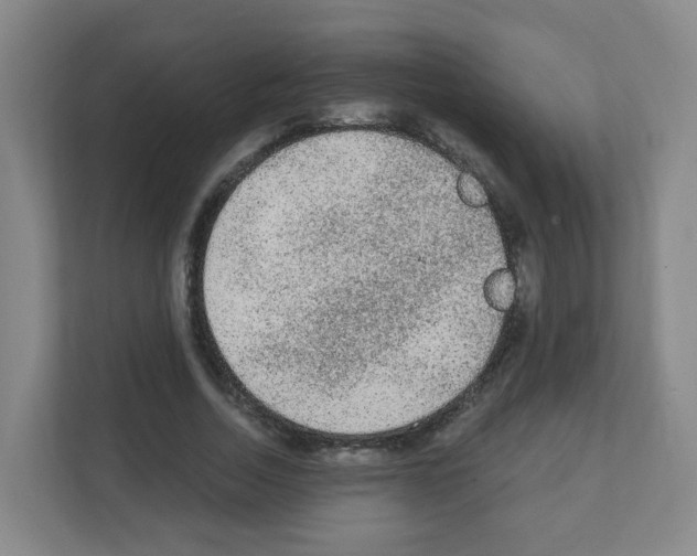 X0000111130730200908111038