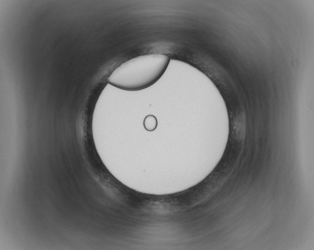 X0000111130732200908111038