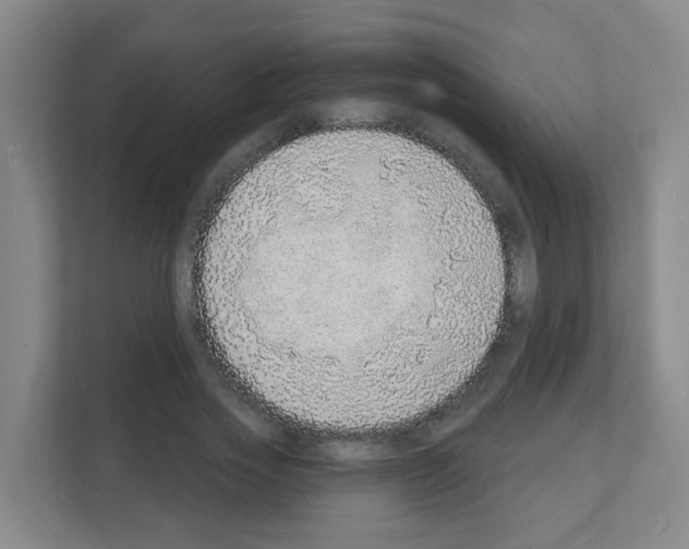 X0000111130733200908111038