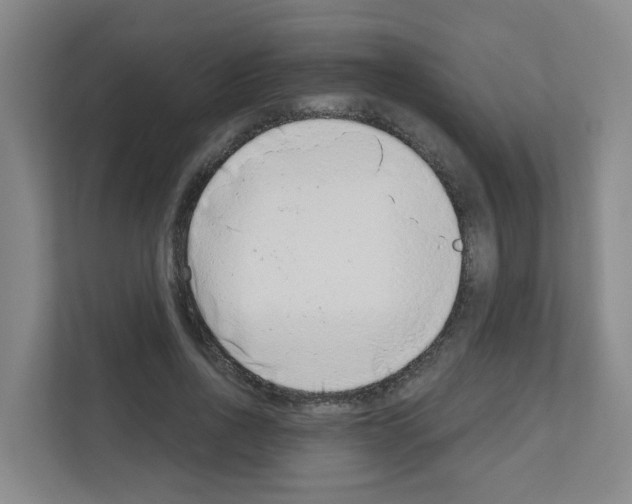 X0000111130734200908111038
