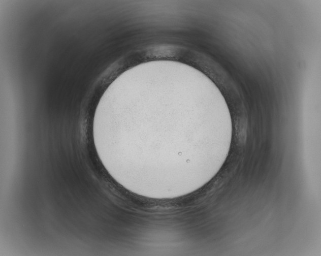X0000111130735200908111038