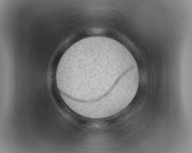 X0000111130736200908111038