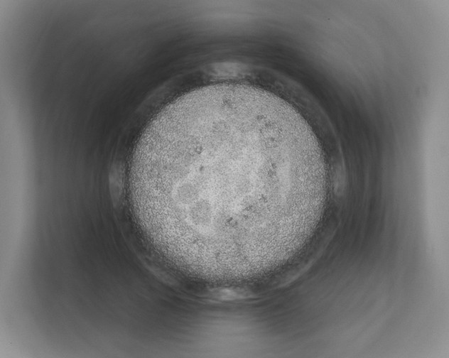 X0000111130737200908111038