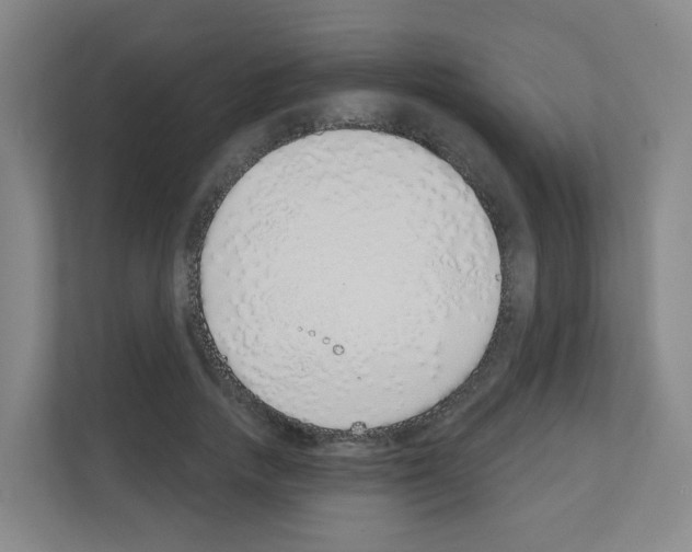 X0000111130738200908111038