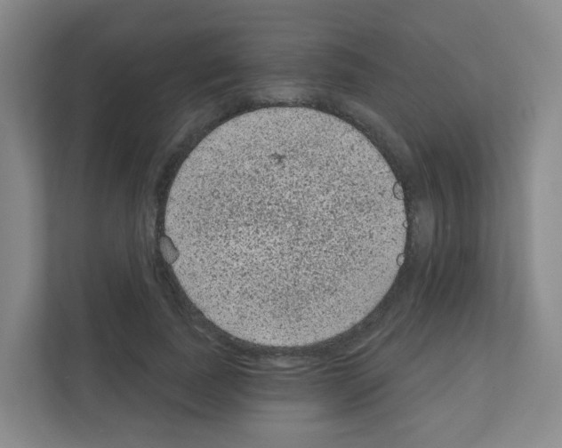 X0000111130739200908111038
