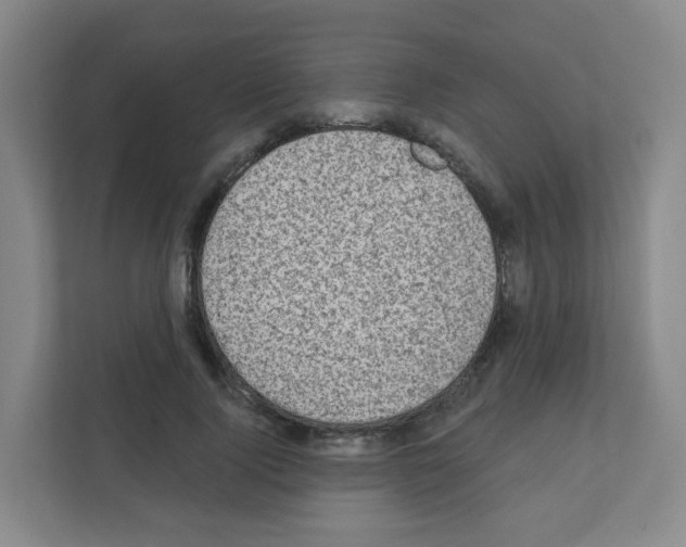 X0000111130740200908111038