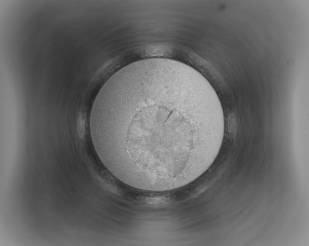 X0000111130741200908111038
