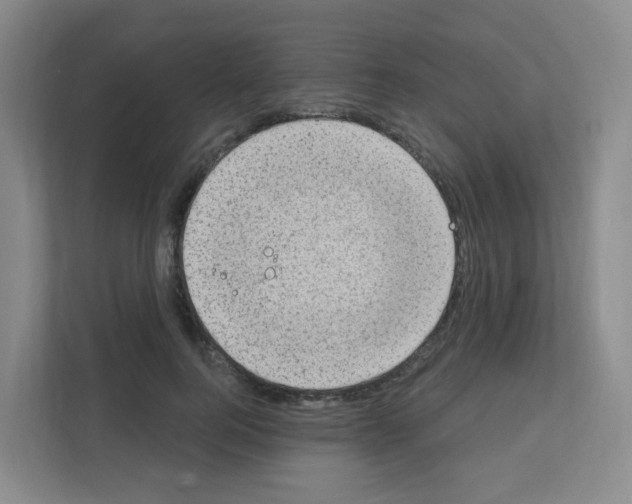 X0000111130744200908111038