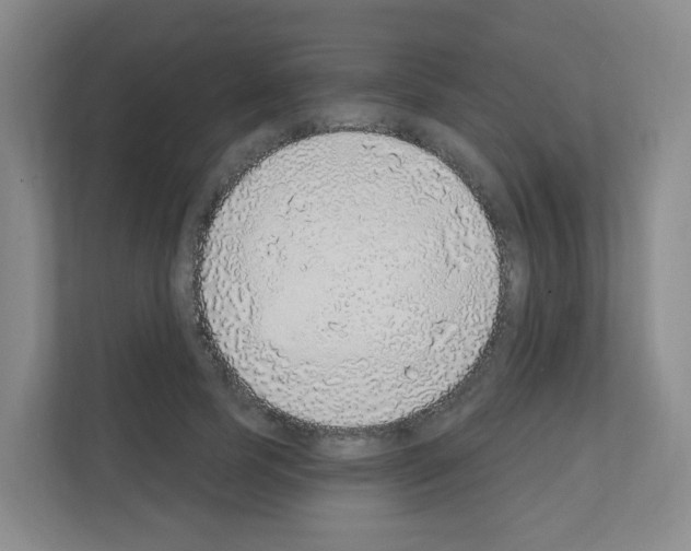 X0000111130745200908111038