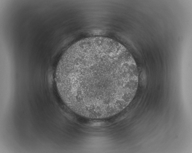 X0000111130746200908111038