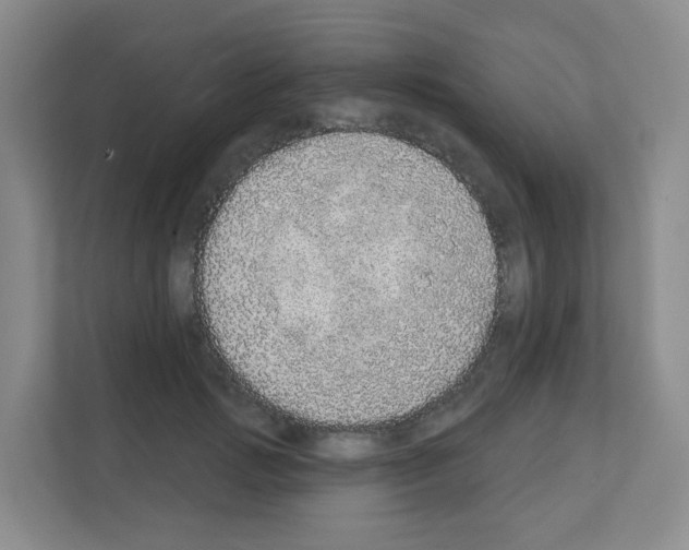 X0000111130749200908111038