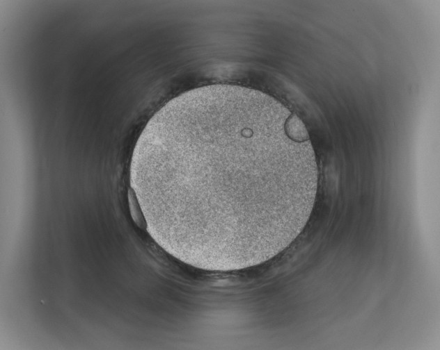 X0000111130750200908111039