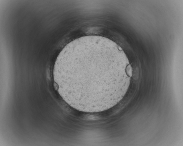 X0000111130755200908111039