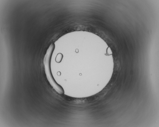 X0000111130756200908111039