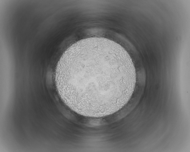 X0000111130757200908111039