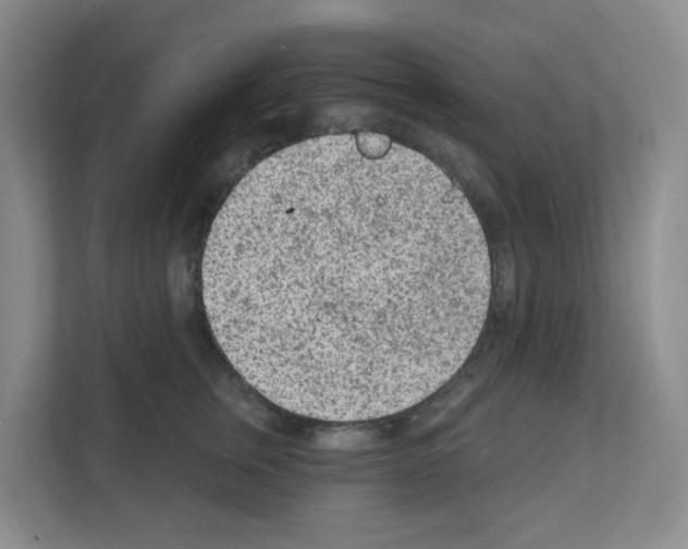 X0000111130759200908111039