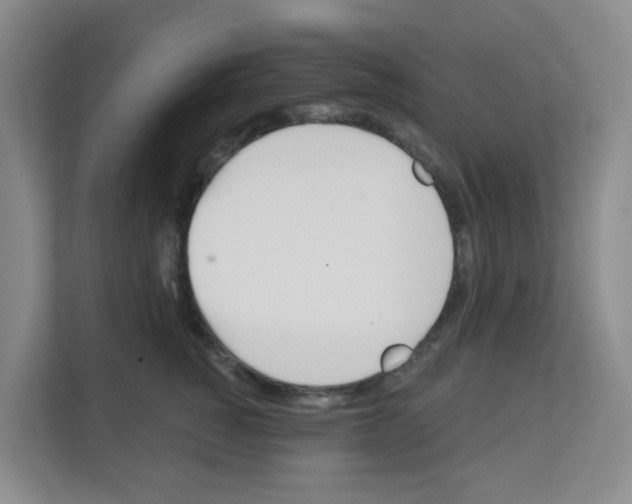 X0000111130760200908111039