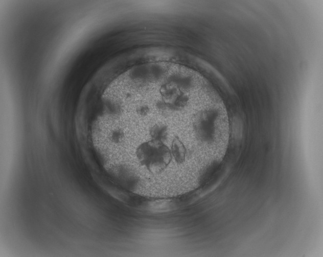 X0000111130761200908111039