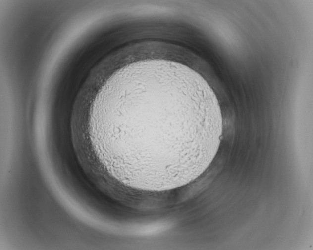 X0000111130765200908111039