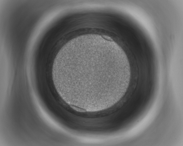X0000111130766200908111039