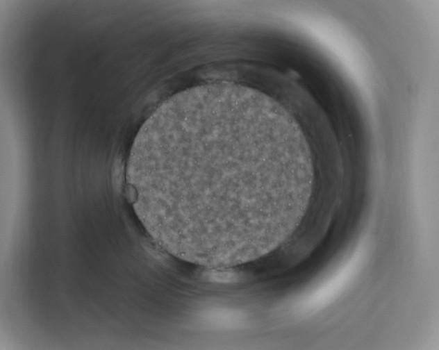 X0000111130767200908111039